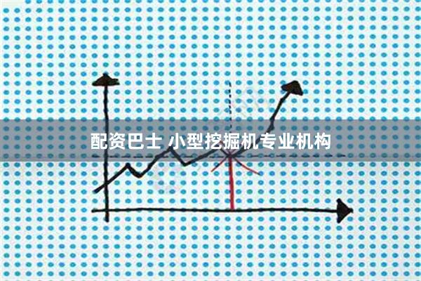 配资巴士 小型挖掘机专业机构
