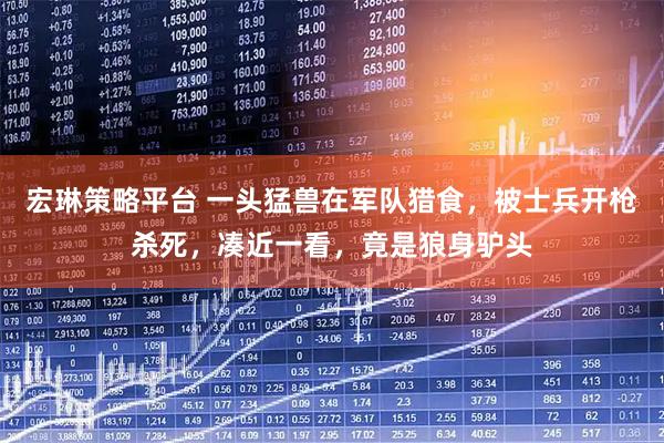 宏琳策略平台 一头猛兽在军队猎食，被士兵开枪杀死，凑近一看，竟是狼身驴头